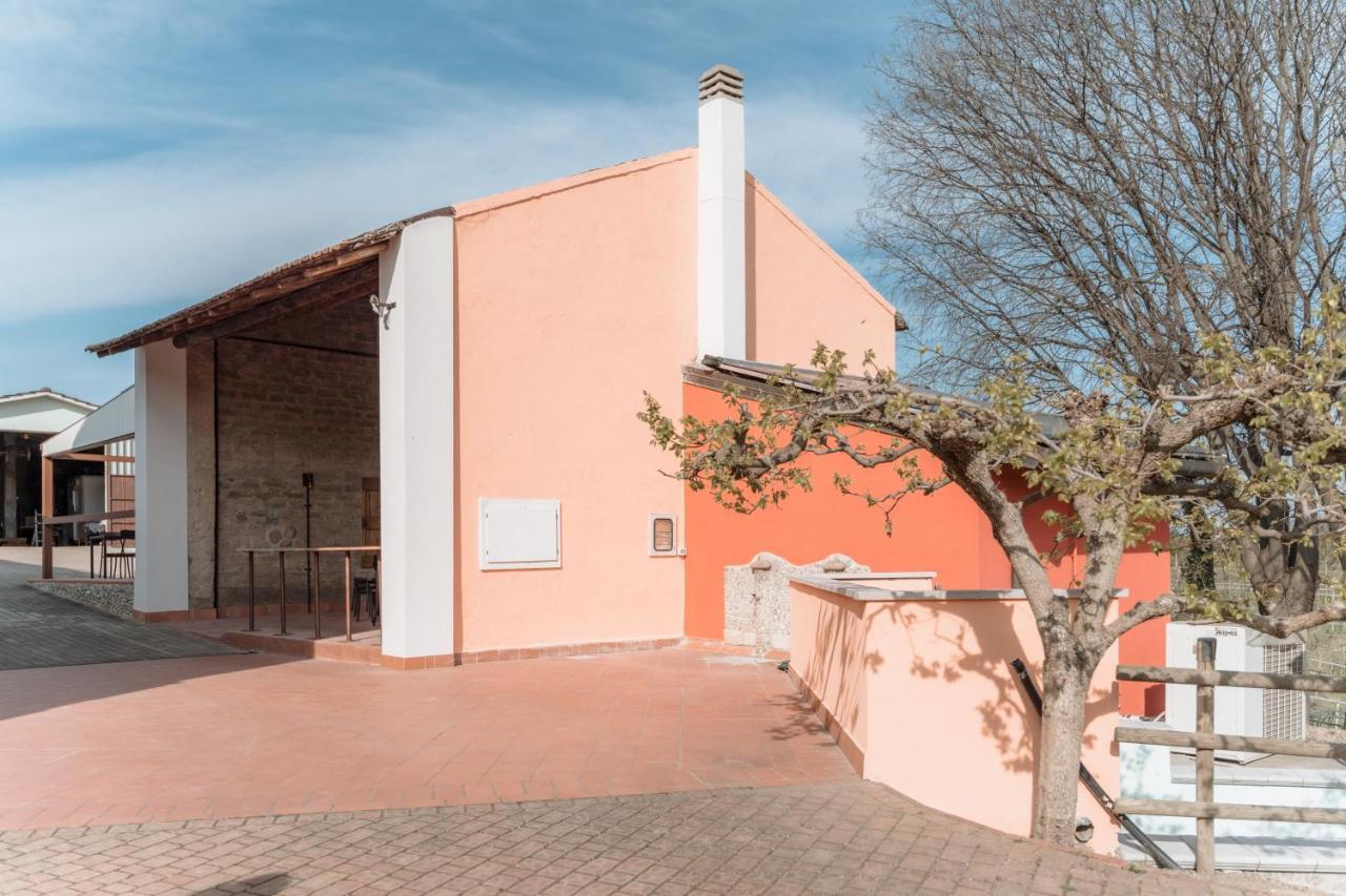Agriturismo San Francesco Valeggio sul Mincio Zewnętrze zdjęcie