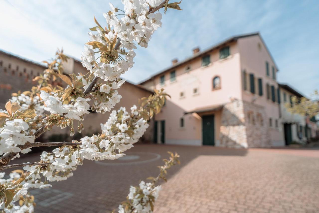 Agriturismo San Francesco Valeggio sul Mincio Zewnętrze zdjęcie