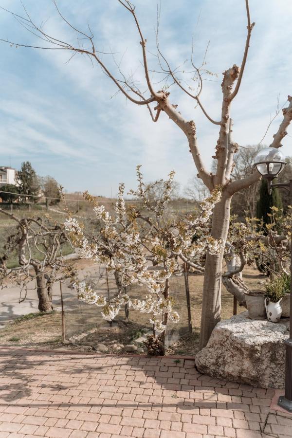 Agriturismo San Francesco Valeggio sul Mincio Zewnętrze zdjęcie
