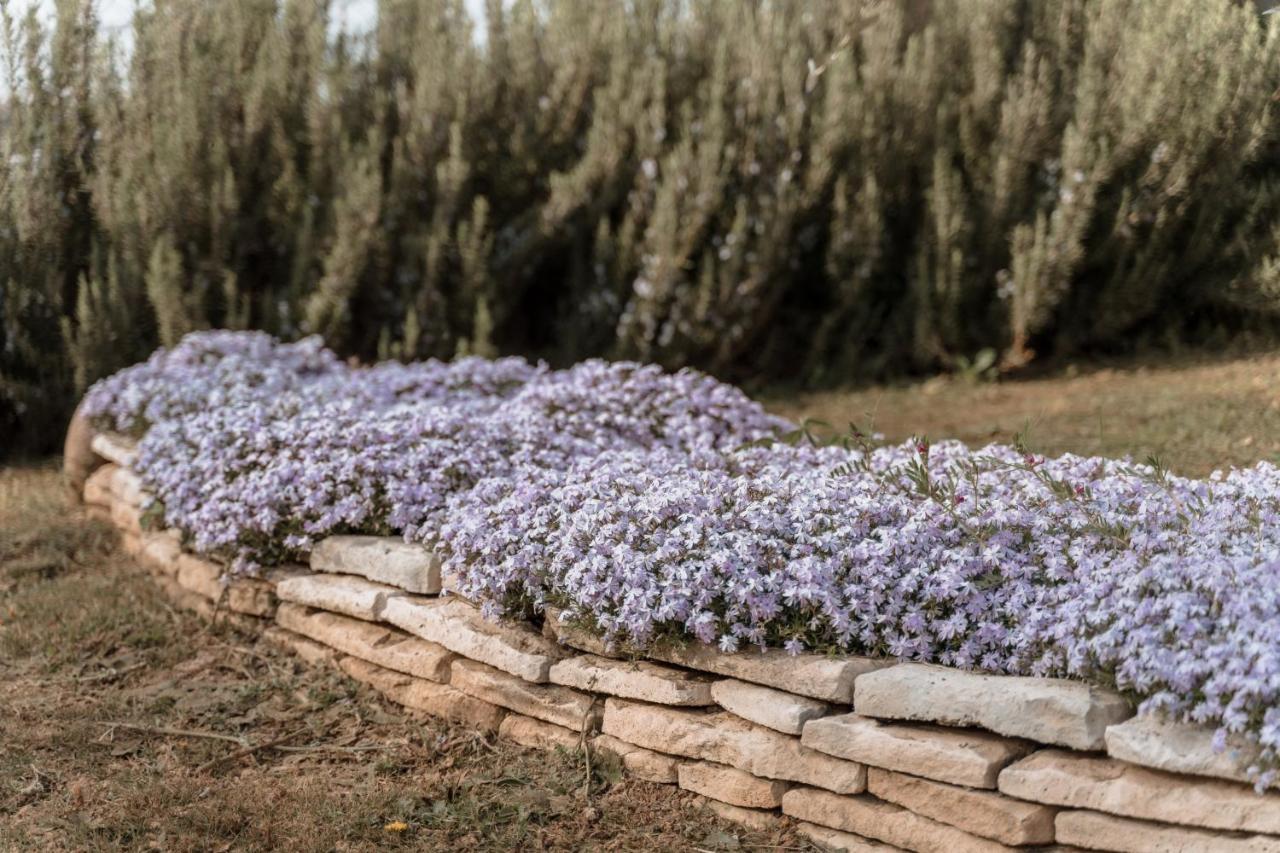 Agriturismo San Francesco Valeggio sul Mincio Zewnętrze zdjęcie