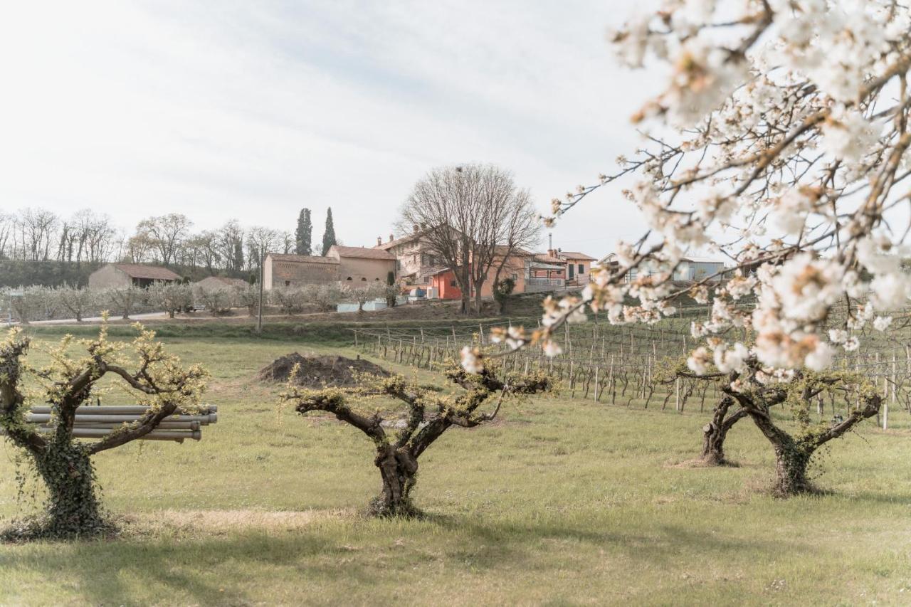 Agriturismo San Francesco Valeggio sul Mincio Zewnętrze zdjęcie