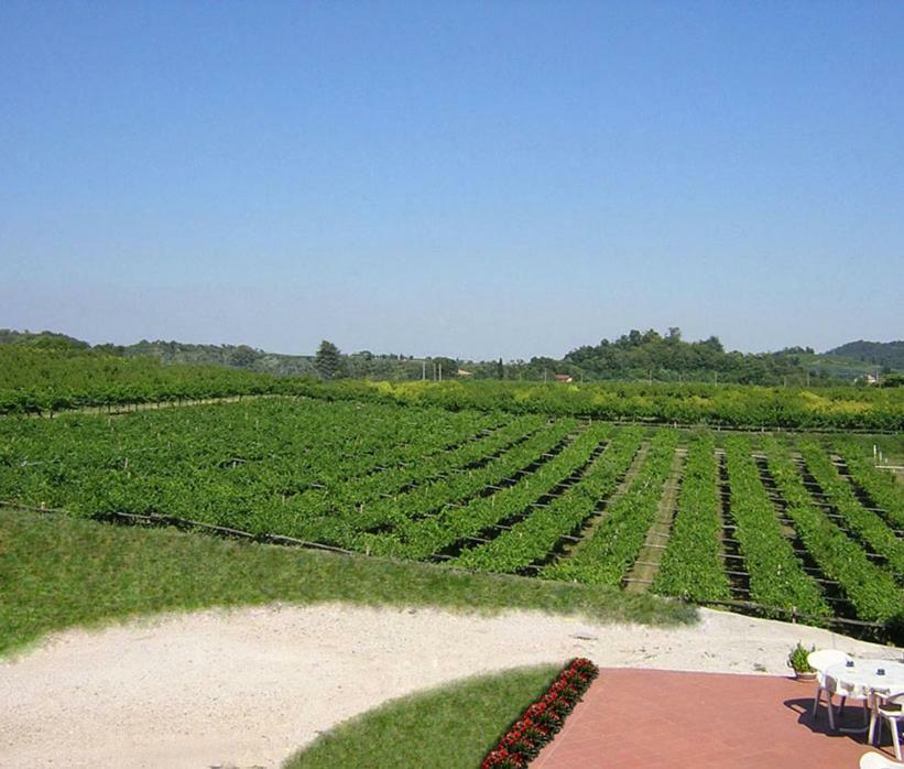 Agriturismo San Francesco Valeggio sul Mincio Zewnętrze zdjęcie