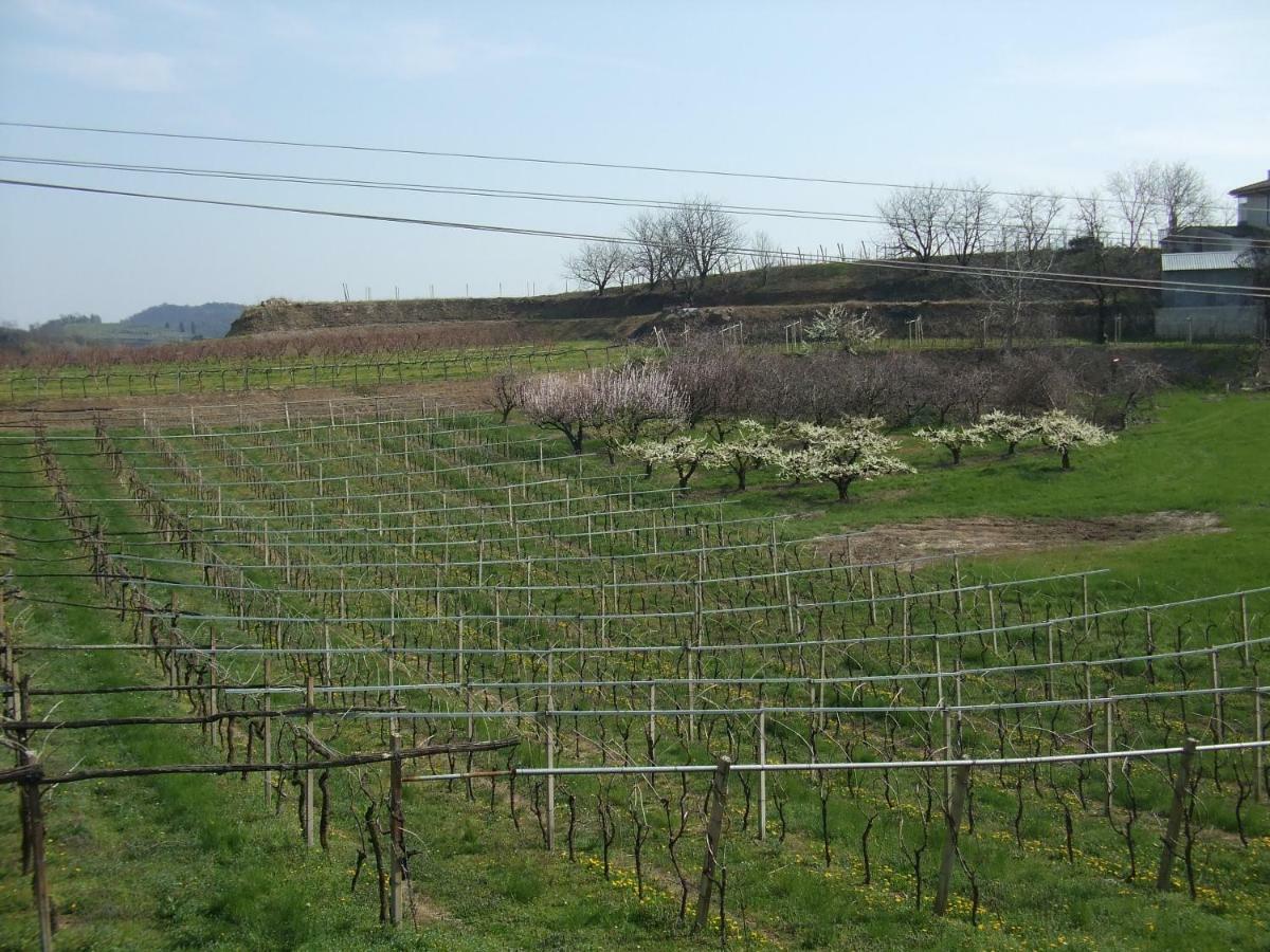Agriturismo San Francesco Valeggio sul Mincio Zewnętrze zdjęcie